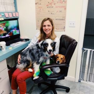 Convenient Vet Care Australian Shepherd Beagle and Doctor