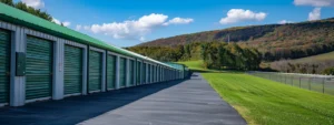 A row of sturdy, climate-controlled storage units nestled in a lush green landscape, surrounded by rolling hills and a clear blue sky, exemplifying hudson valley's top-notch secure storage solutions.