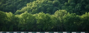 A row of sturdy, weatherproof storage units nestled among lush green trees in a serene hudson valley landscape.